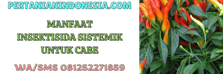 manfaat,penggunaan,pengaplikasian,insektisida sistemik,pertanian indonesia